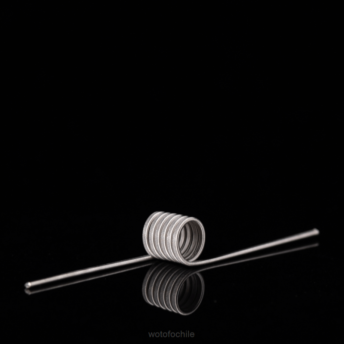 Wotofo bobina prefabricada de identificación Clapton fusionado de doble núcleo 0,65 ohmios 5mm 5 uds. - Wotofo Chile F42N347